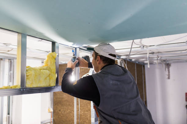 Best Affordable Insulation Services  in Eagle, CO