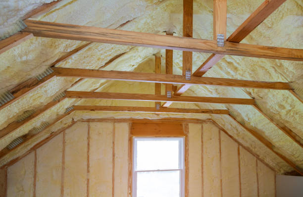 Best Home Insulation Services  in Eagle, CO