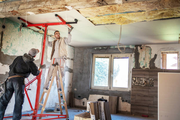 Insulation Contractors for Homes