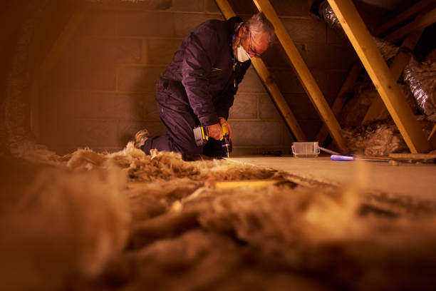 Best Insulation Removal Services  in Eagle, CO